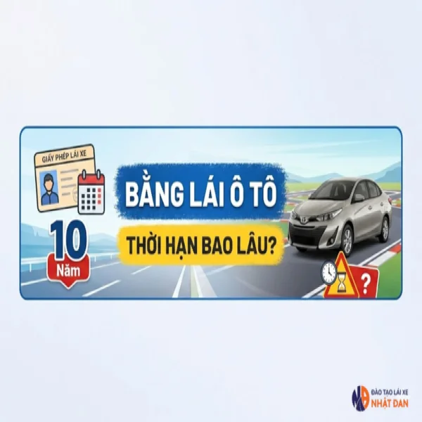 Bằng Lái Xe Ô Tô Có Thời Hạn Bao Lâu Theo Quy Định Mới?