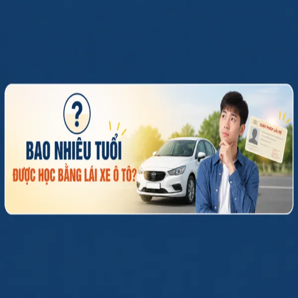 Bao nhiêu tuổi được học bằng lái xe ô tô theo quy định mới?