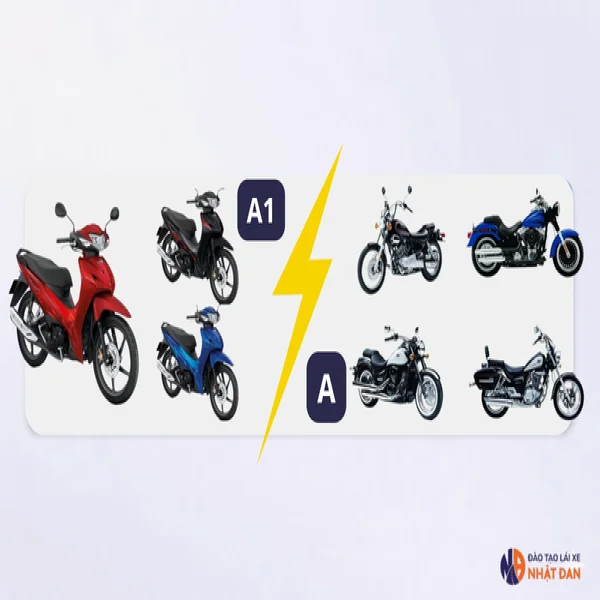 Nên thi bằng A hay A1? Phân biệt 2 loại theo luật mới