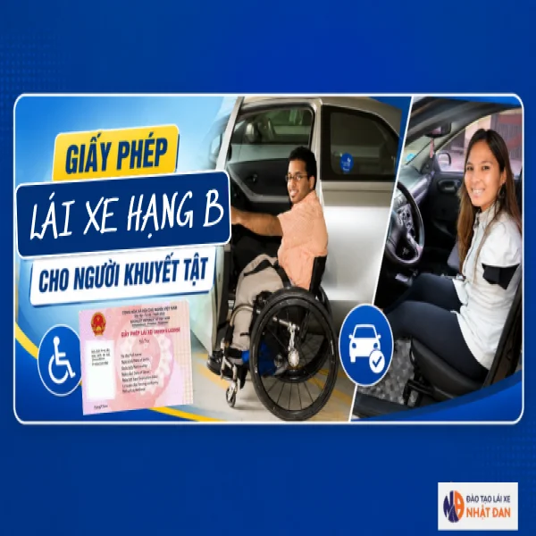 Giấy phép lái xe hạng B cho người khuyết tật mới nhất 2026
