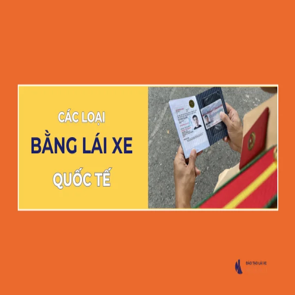 So sánh bằng lái quốc tế IDP và IAA: Lựa chọn nào tối ưu nhất 2026