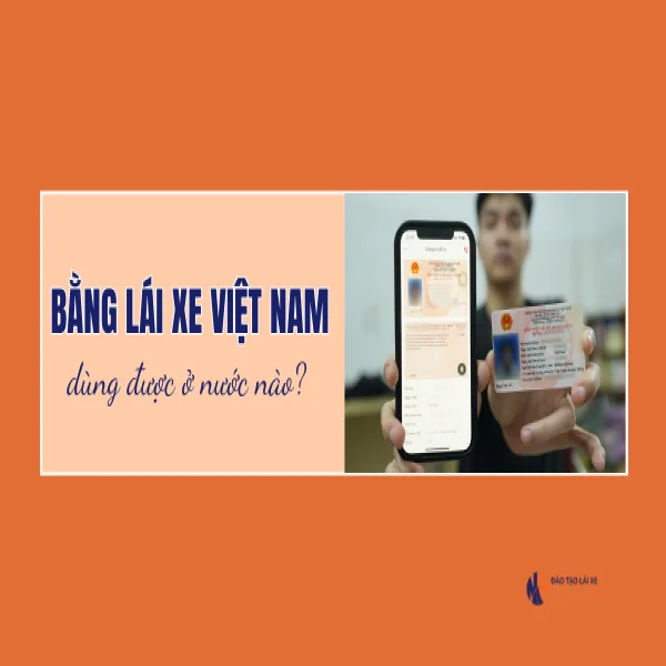 [2026] Bằng lái xe Việt Nam dùng được ở nước nào?