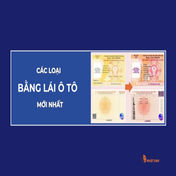 Các loại bằng lái xe mới nhất 2026: Cập nhật đầy đủ 15 hạng GPLX