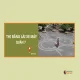 thi-bang-lai-xe-may-quan-7-add