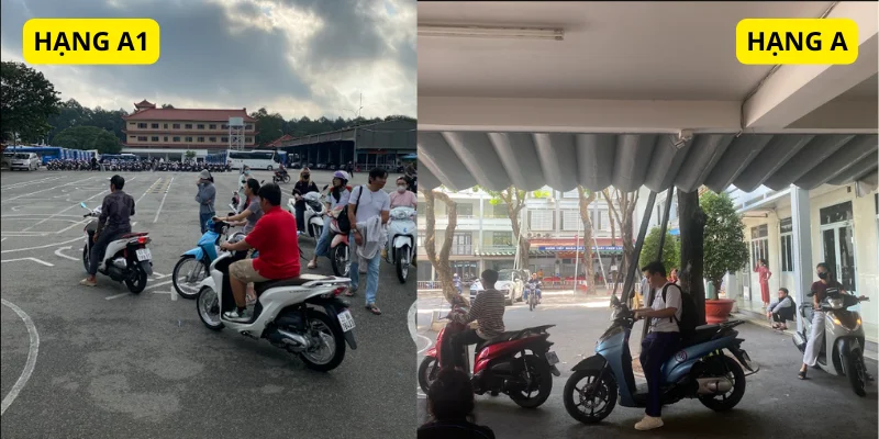 nên thi bằng a hay a1