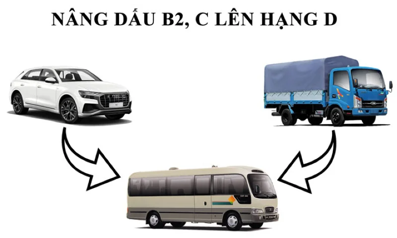 Thi bằng lái xe ô tô có cần bằng cấp 2 không 2