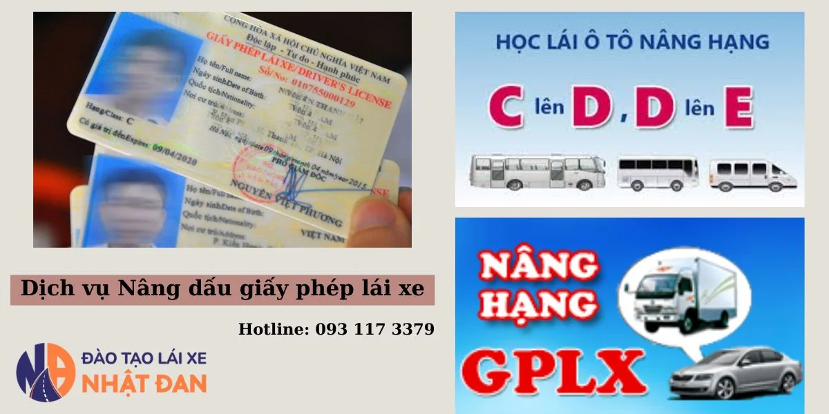 Nâng dấu giấy phép lái xe - Nhật Đan